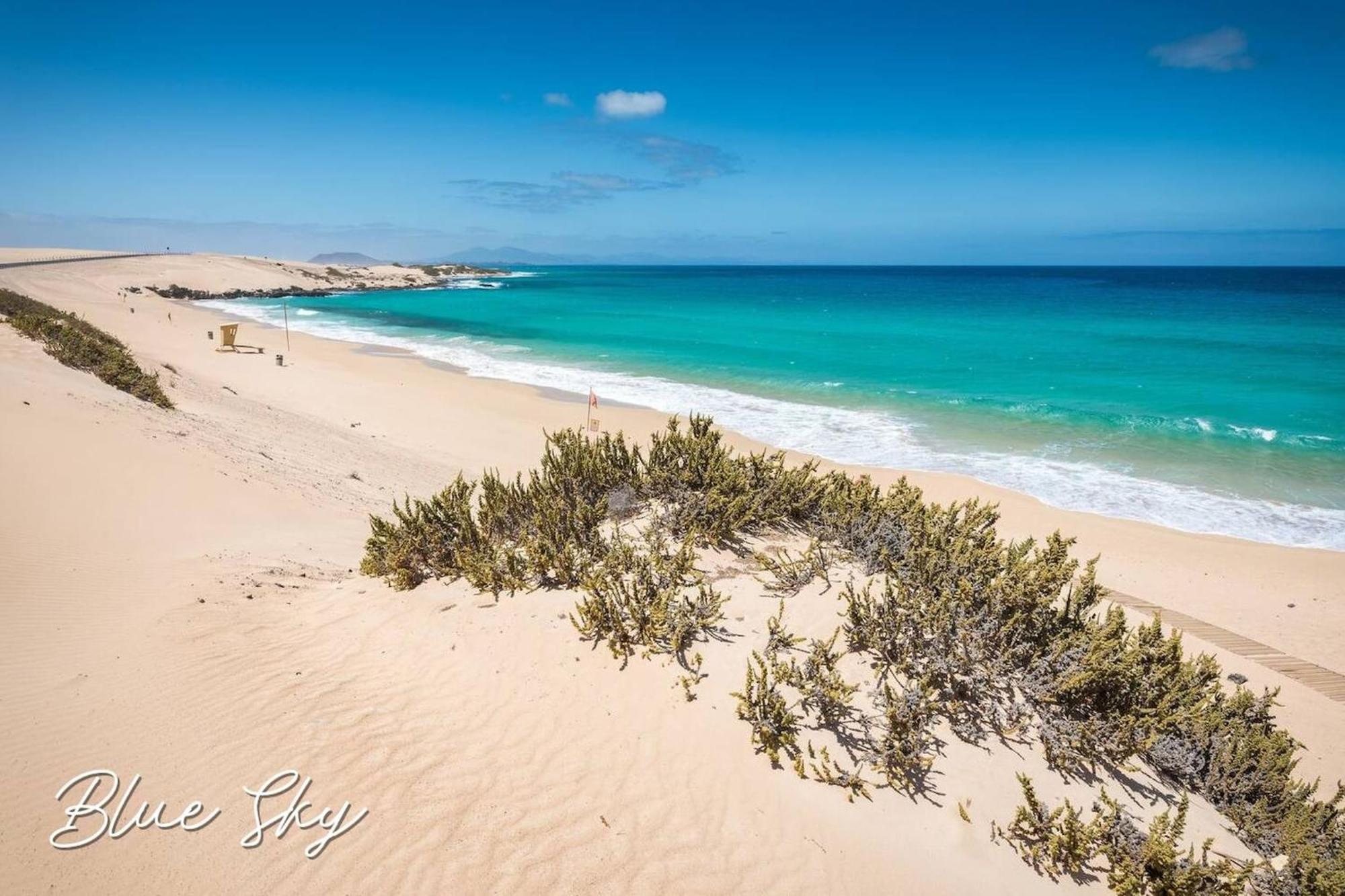 Corralejo Sun 335 Blue Sky By Rentalfue Dış mekan fotoğraf